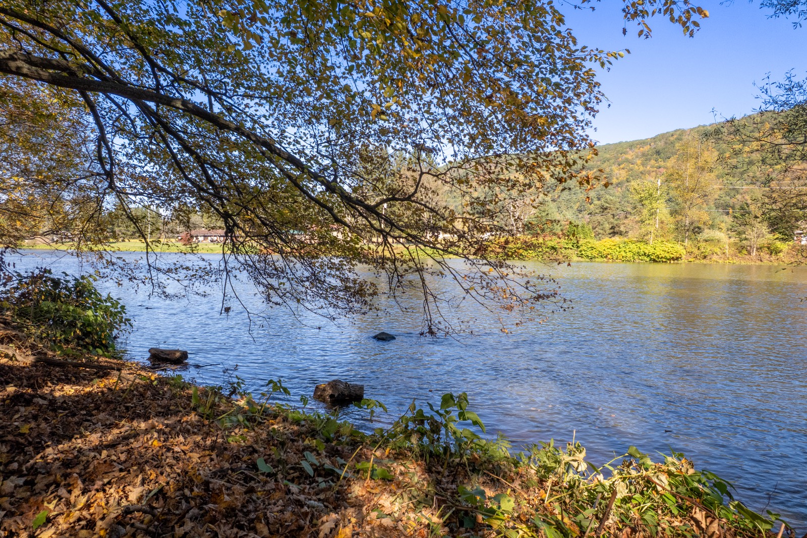 #15 photo, 810 River Rd, Deposit , NY 13754