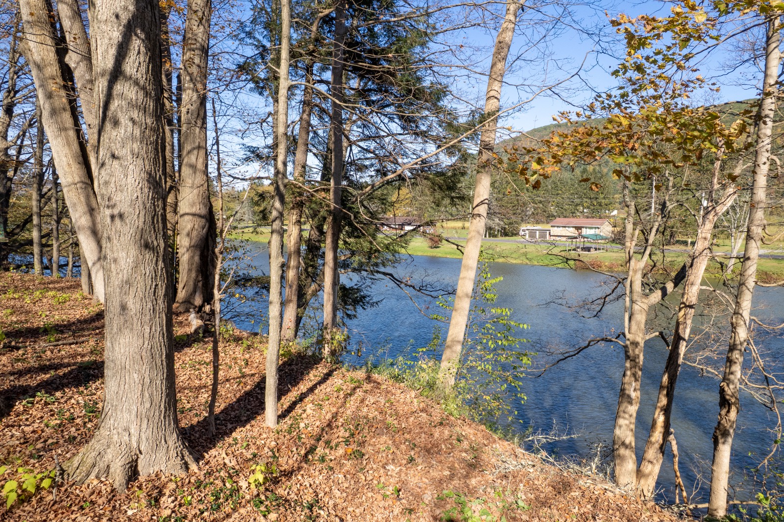 #16 photo, 810 River Rd, Deposit , NY 13754