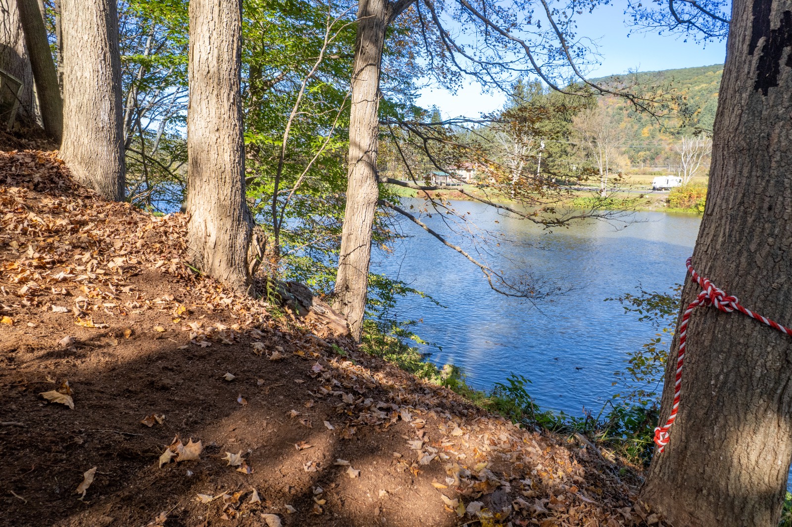 #46 photo, 810 River Rd, Deposit , NY 13754