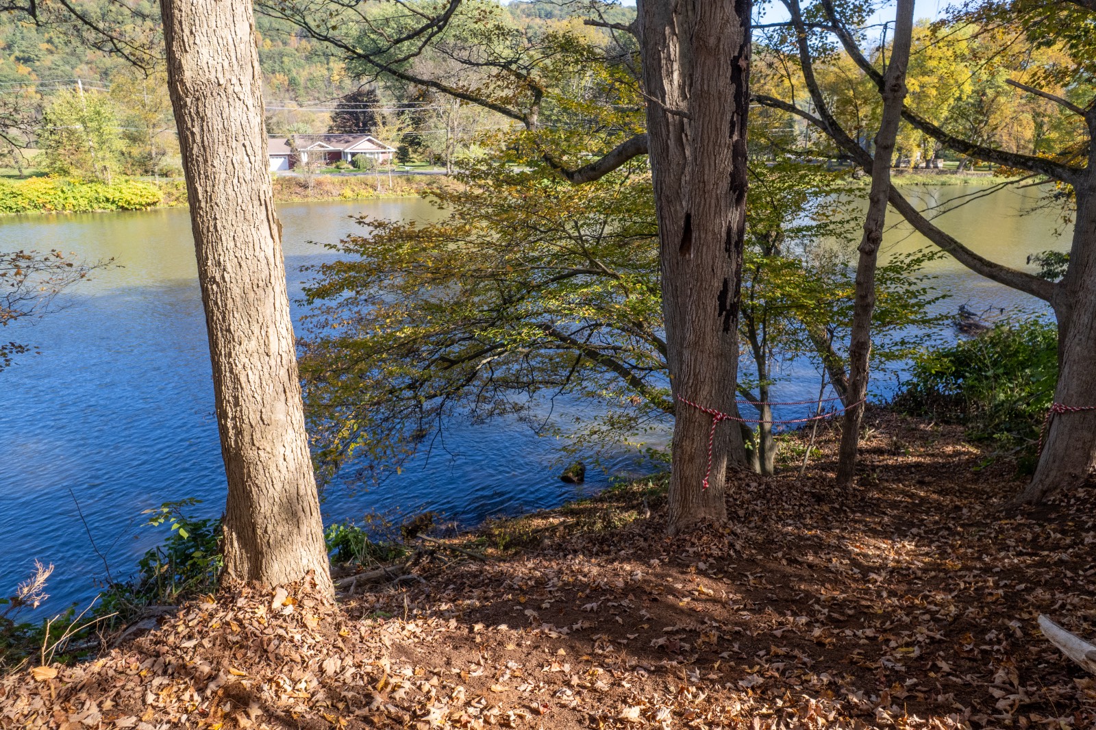 #47 photo, 810 River Rd, Deposit , NY 13754