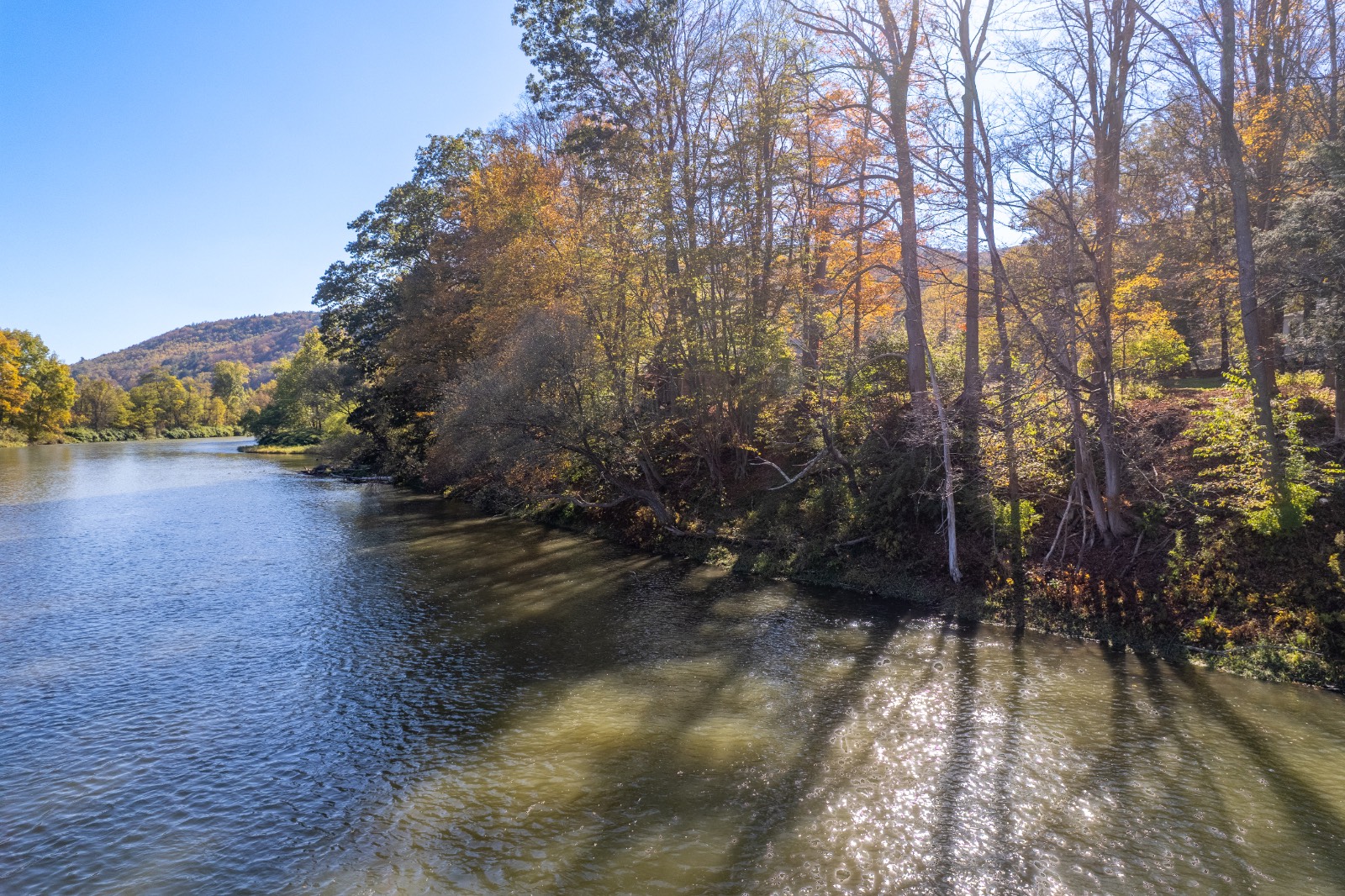 #48 photo, 810 River Rd, Deposit , NY 13754