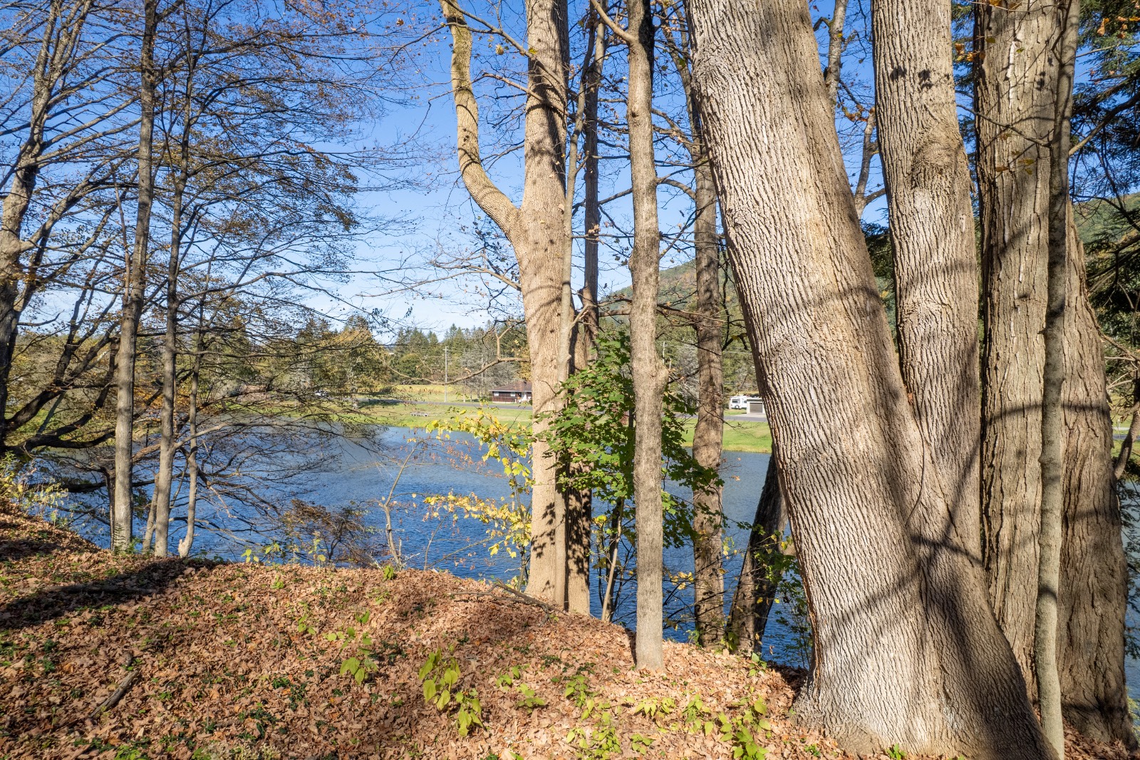 #49 photo, 810 River Rd, Deposit , NY 13754