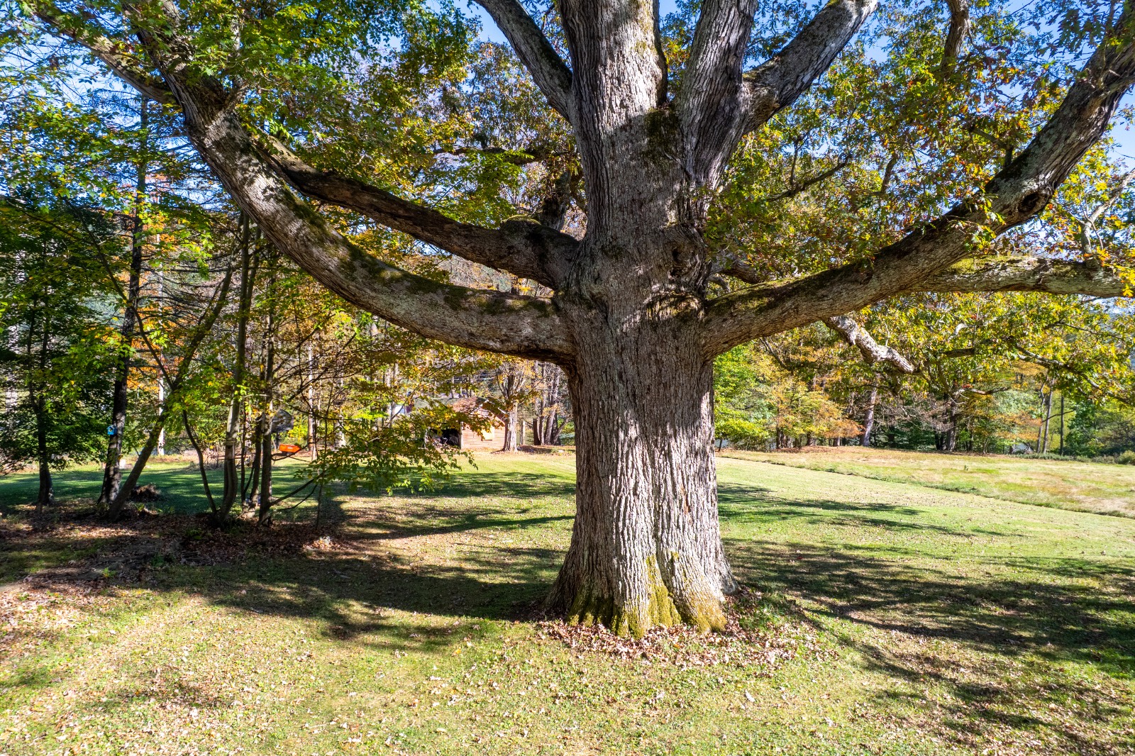 #50 photo, 810 River Rd, Deposit , NY 13754