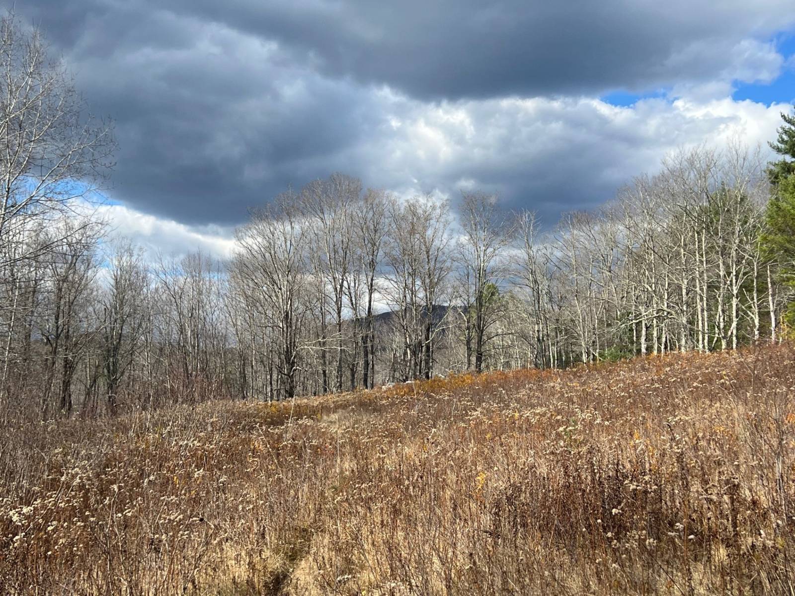 #5 photo, 0 Route 17, Jewett , NY 12444