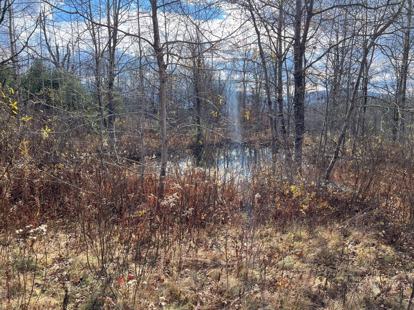 #6 photo, 0 Route 17, Jewett , NY 12444