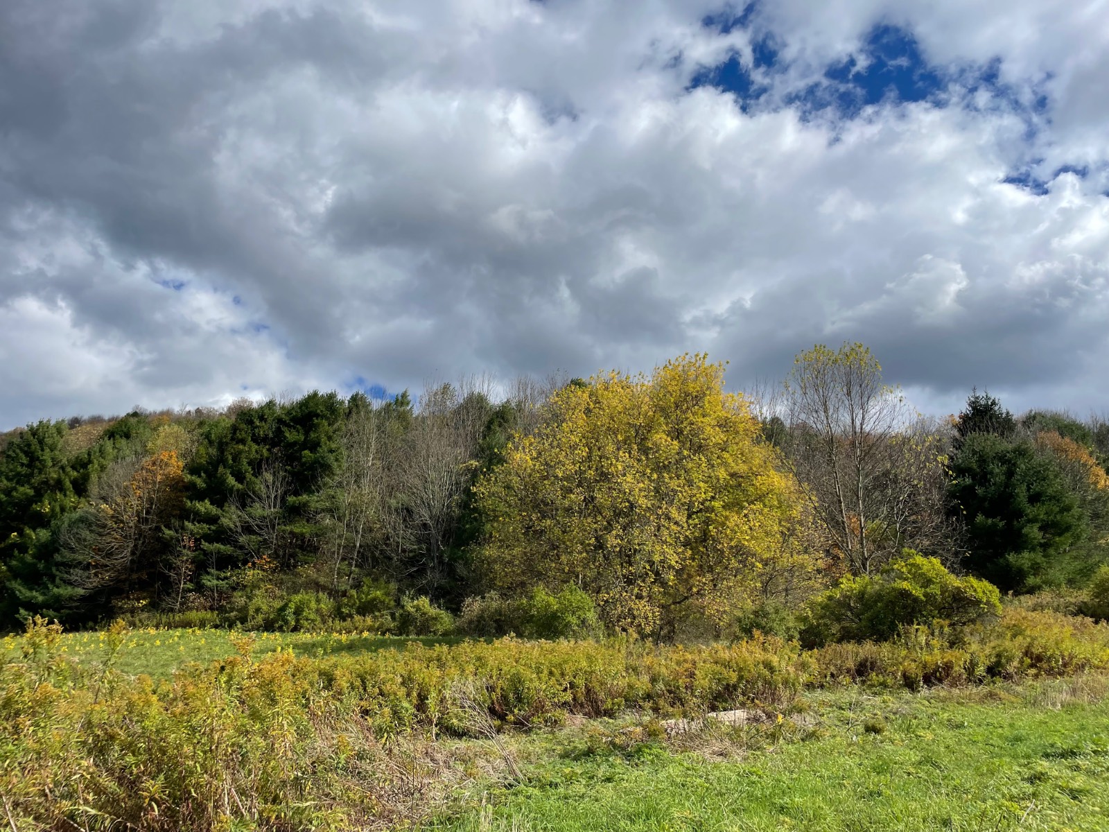 #4 photo, 0 County Highway 18A, West Winfield , NY 13491