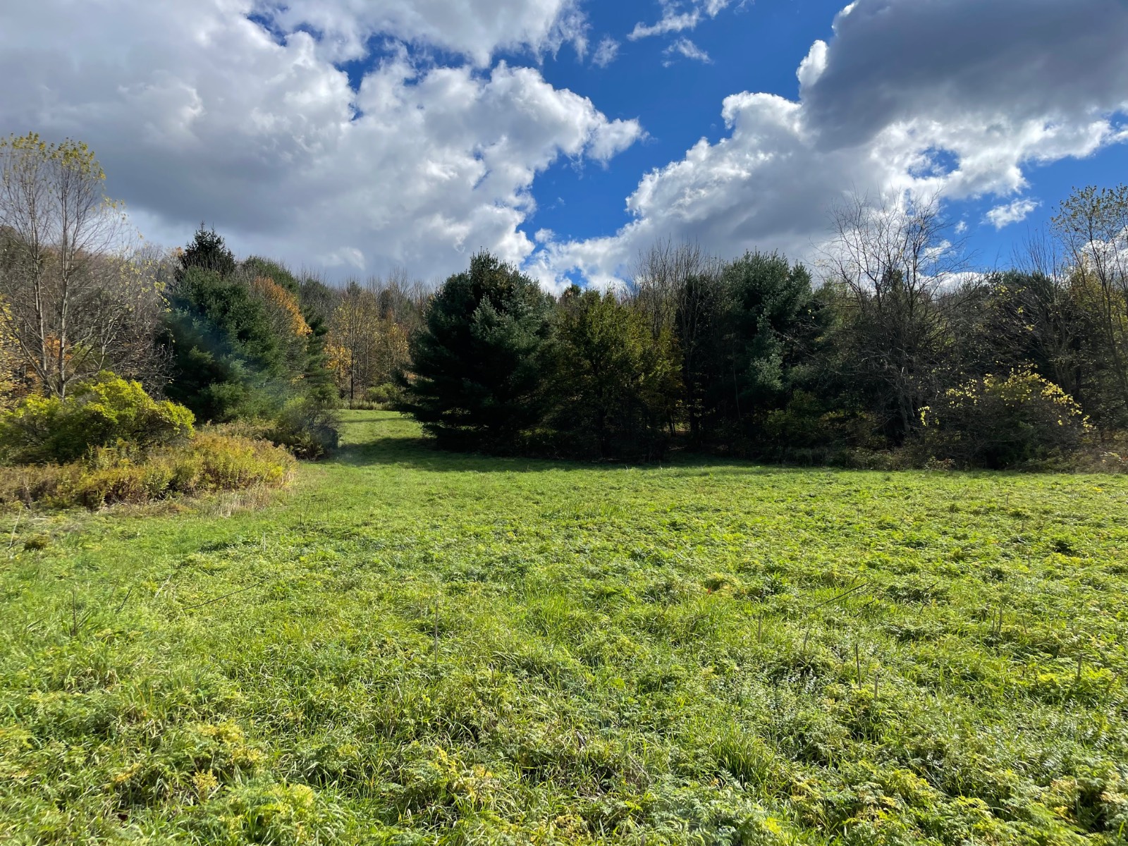 #5 photo, 0 County Highway 18A, West Winfield , NY 13491