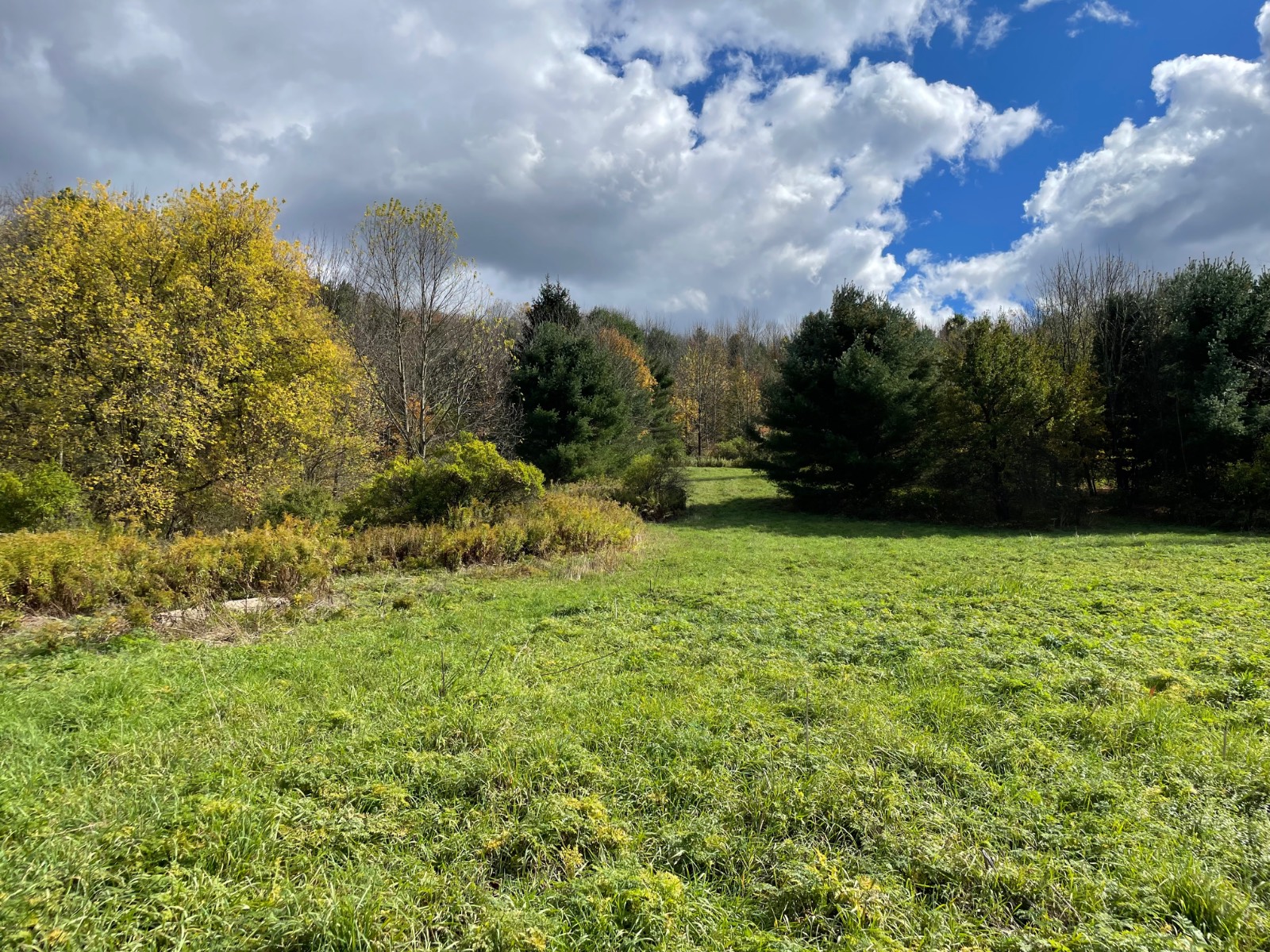 #6 photo, 0 County Highway 18A, West Winfield , NY 13491