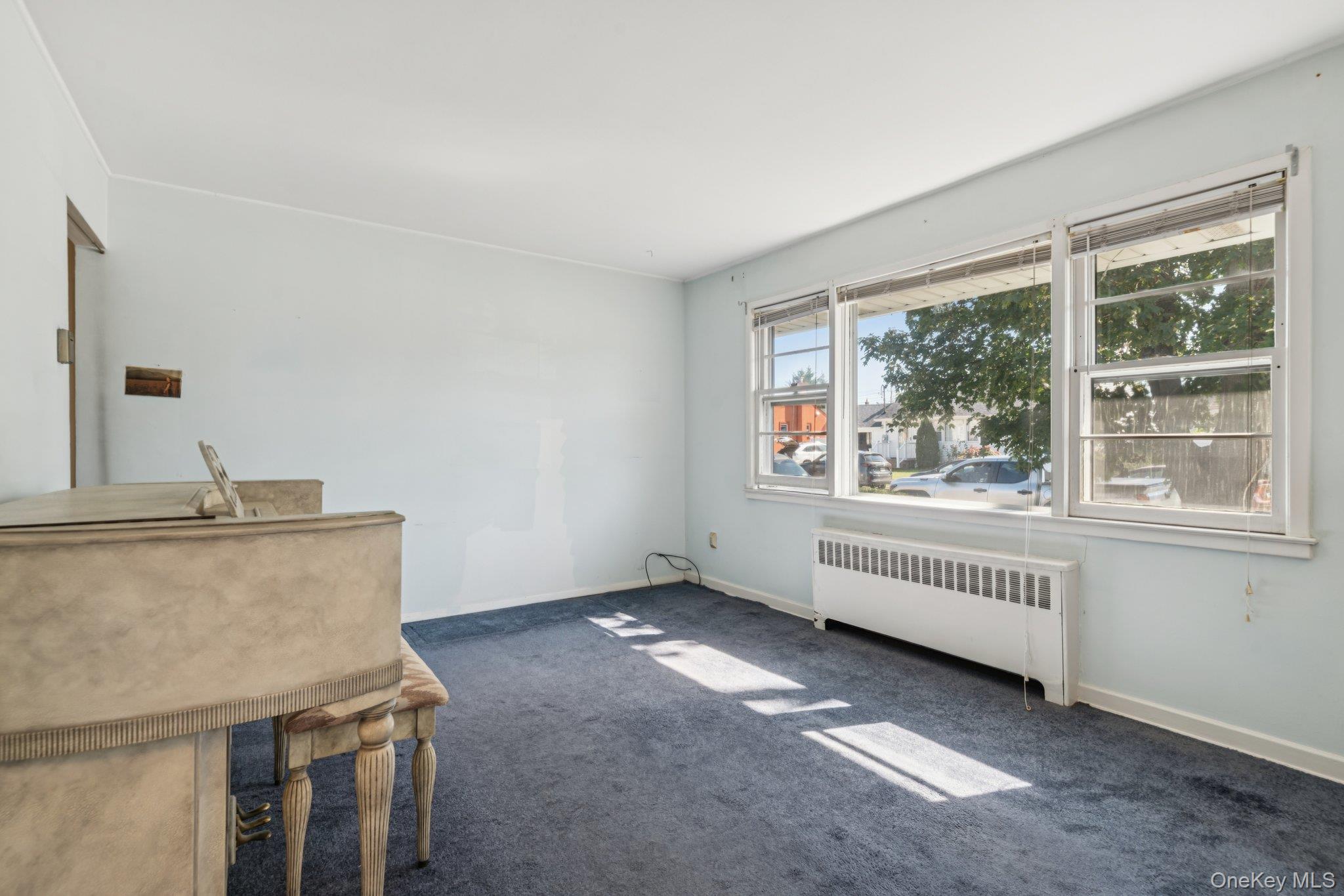 #7 photo, 178 Princess Street, ナッソー郡 Hicksville , NY 11801