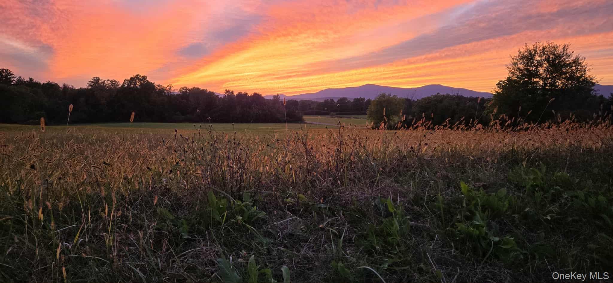 #5 photo, 9 Elizabeth Drive, Tivoli , NY 12583