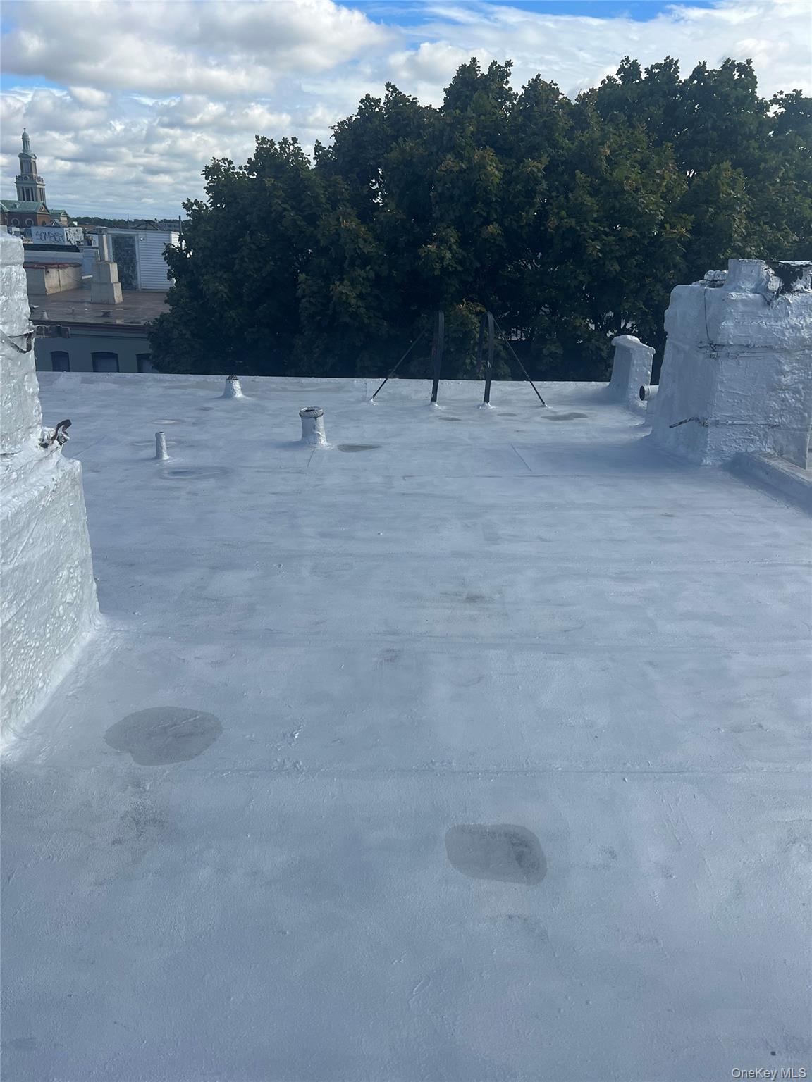 #8 photo, 18-24 Woodbine Street, Ridgewood , NY 11385