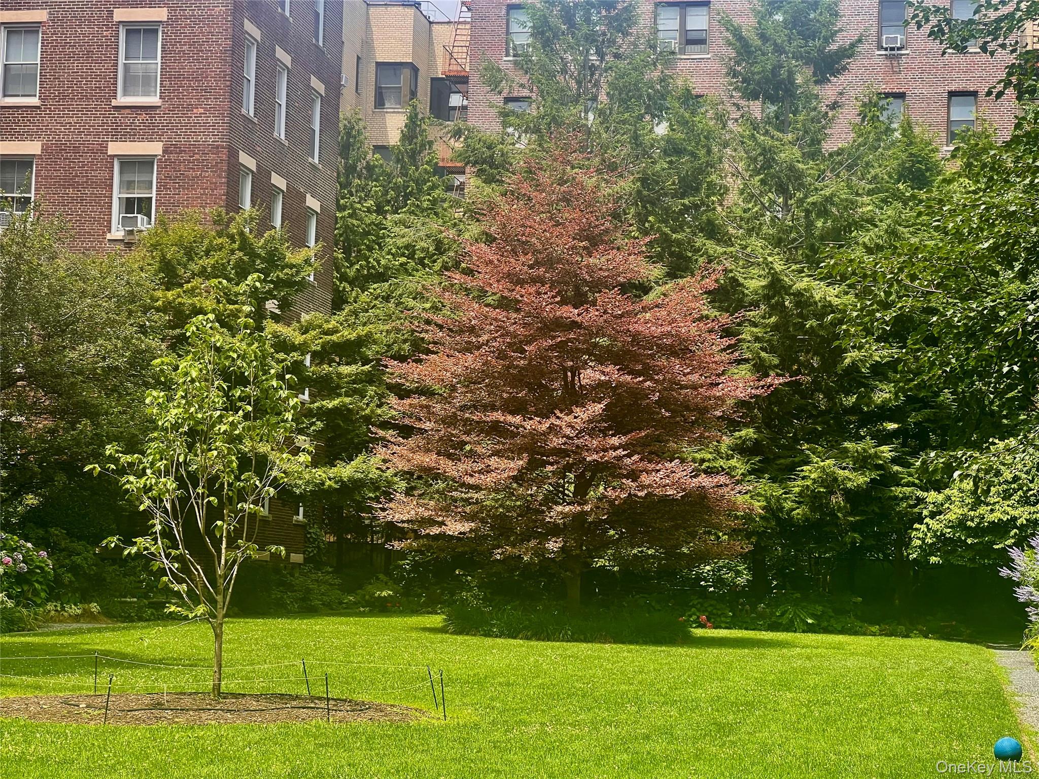 #9 photo, 35-46 79th Street, クイーンズ区 Jackson Heights , NY 11372