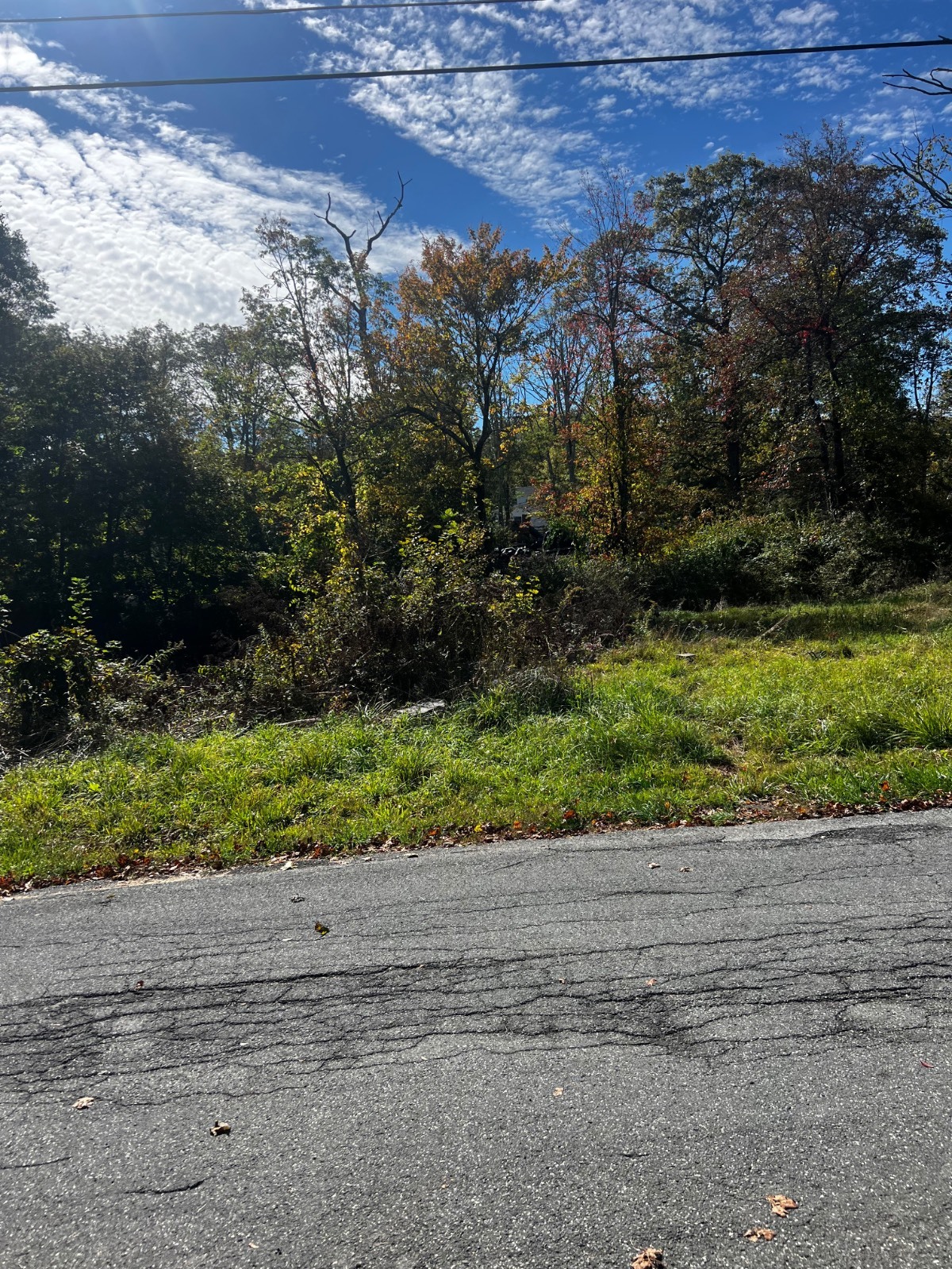 #13 photo, 31 Laurel trail, Wurtsboro , NY 12790