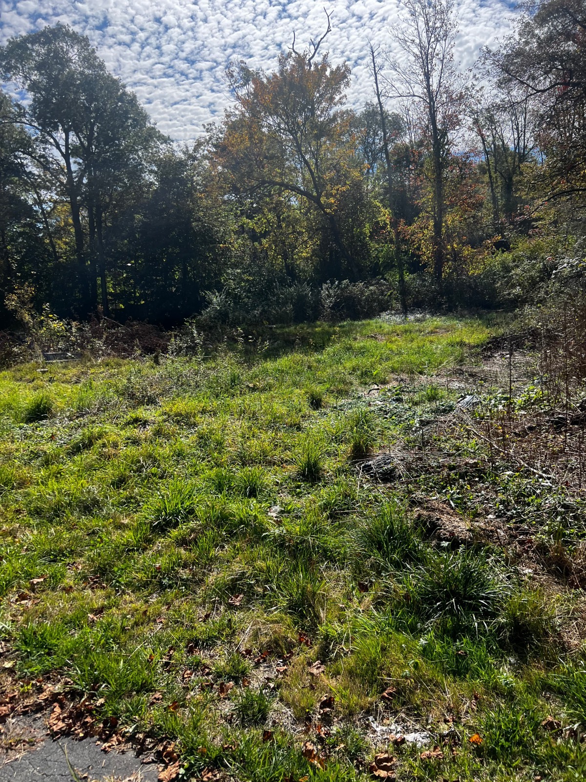 #4 photo, 31 Laurel trail, Wurtsboro , NY 12790