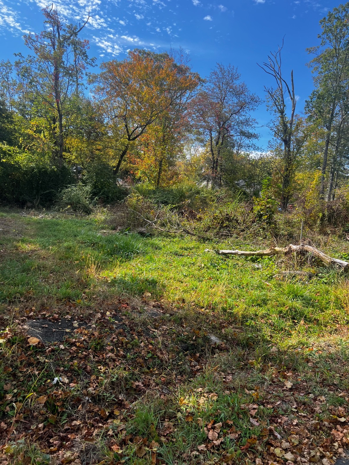 #8 photo, 31 Laurel trail, Wurtsboro , NY 12790