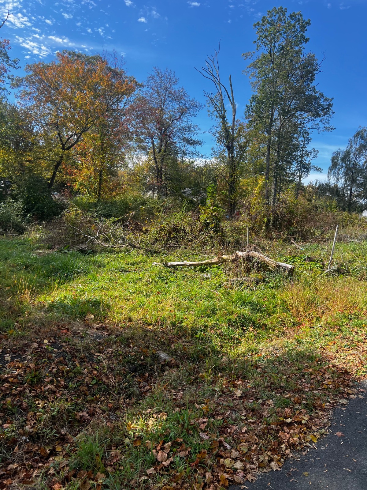 #9 photo, 31 Laurel trail, Wurtsboro , NY 12790