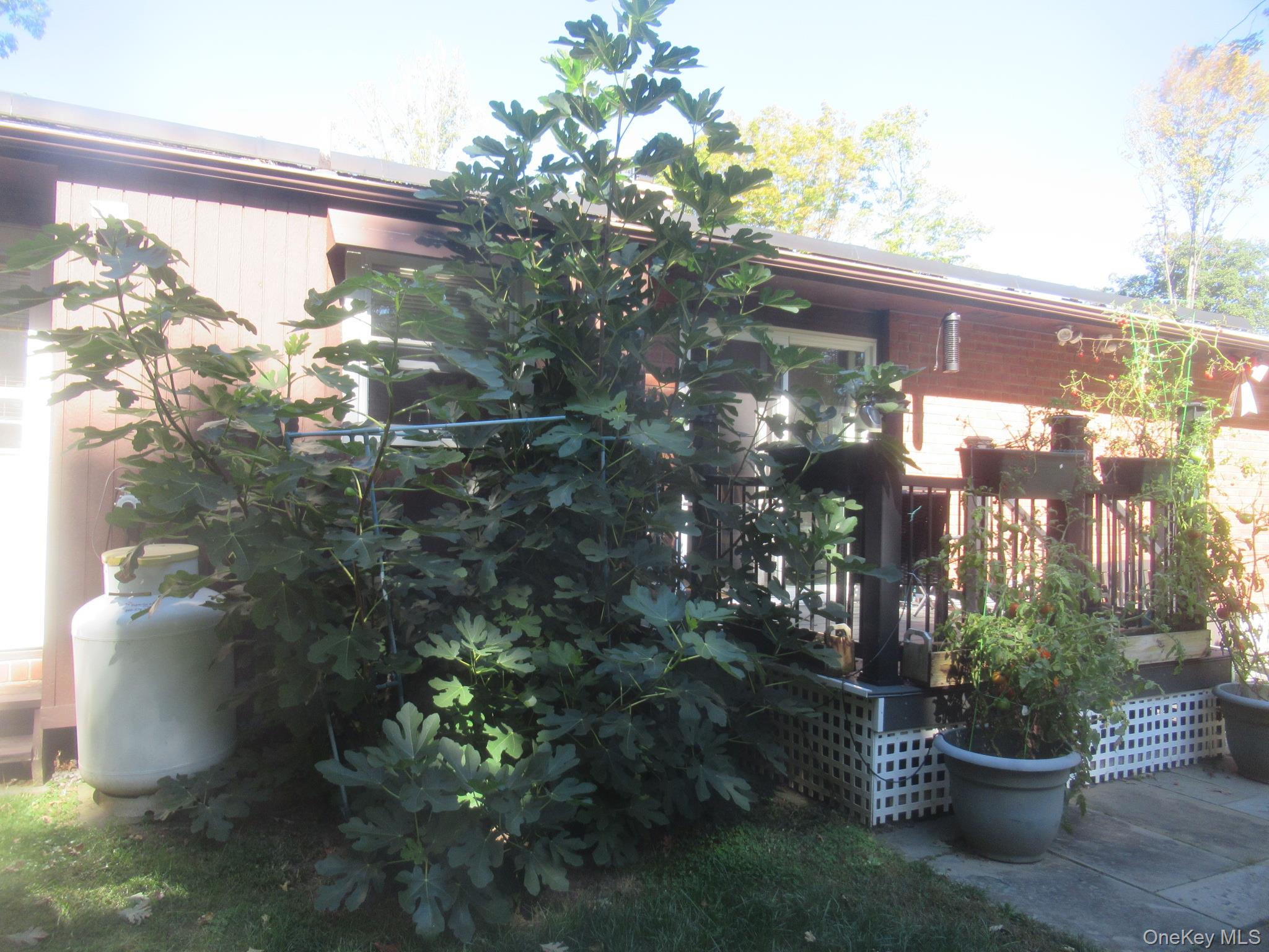 #13 photo, 65 Brothers Road, Wappingers Falls , NY 12590