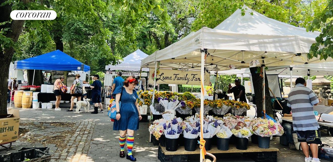 #10 photo, 250 MANHATTAN Avenue, South Harlem , NY 10026