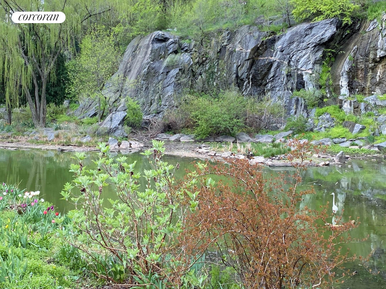 #13 photo, 250 MANHATTAN Avenue, South Harlem , NY 10026