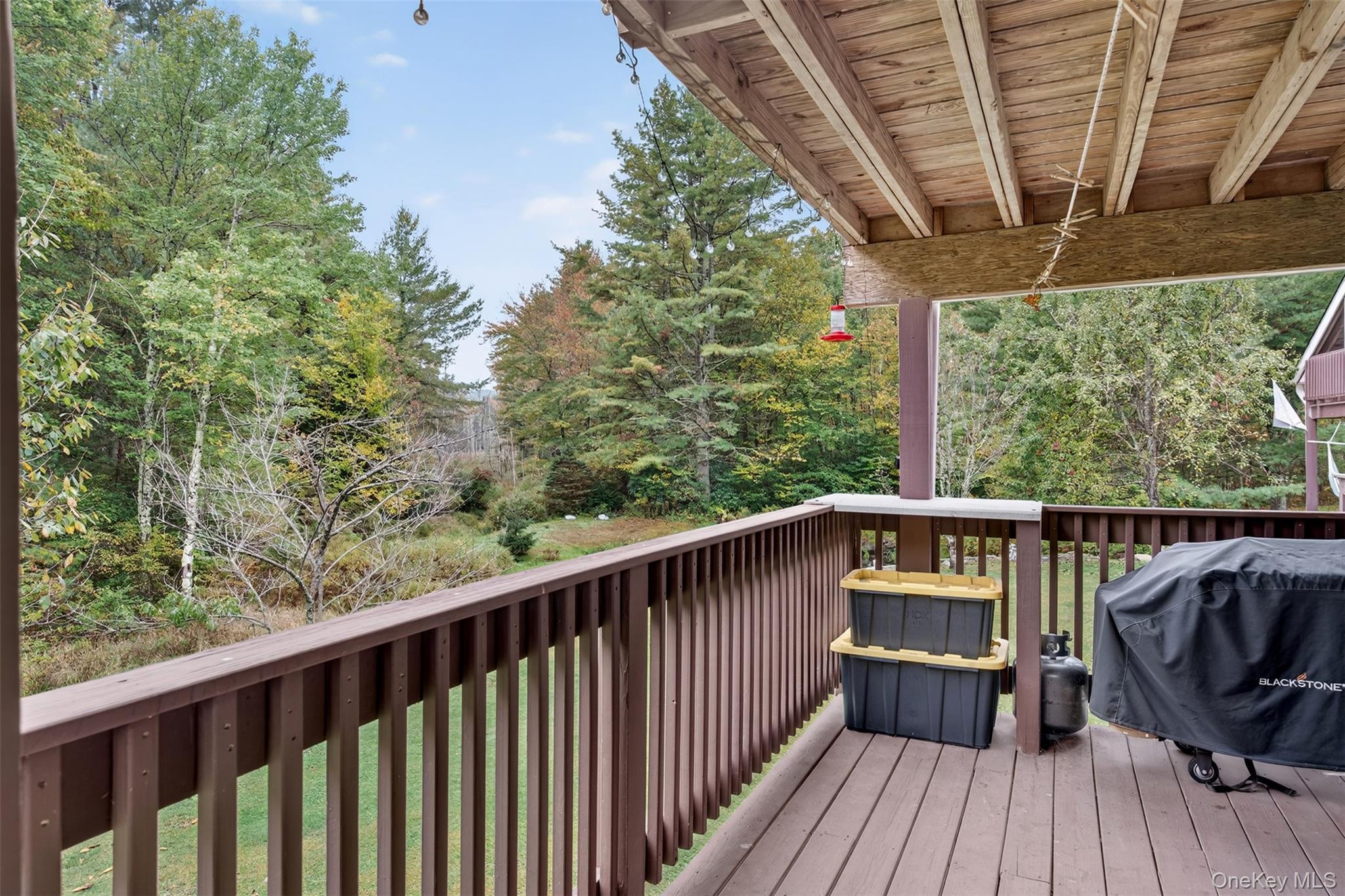 #15 photo, 23 Fire House Road, Woodbourne , NY 12788