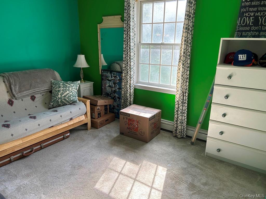 #15 photo, 105 Sheldon Road, Wingdale , NY 12594