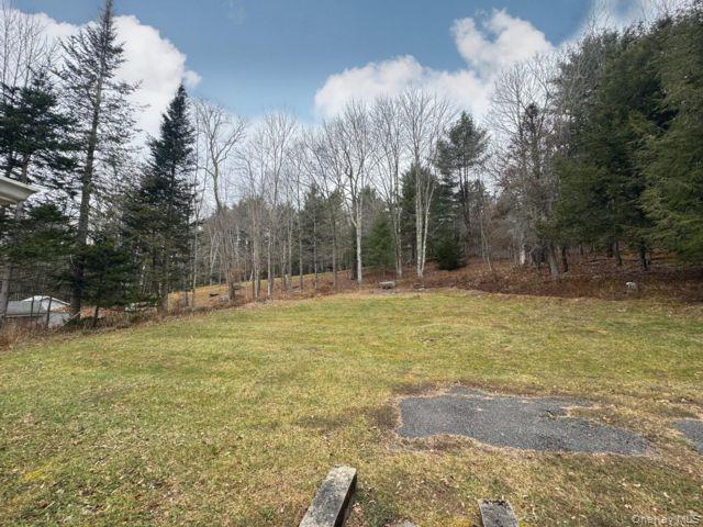#13 photo, 49 Ryan Road, Hunter , NY 12444