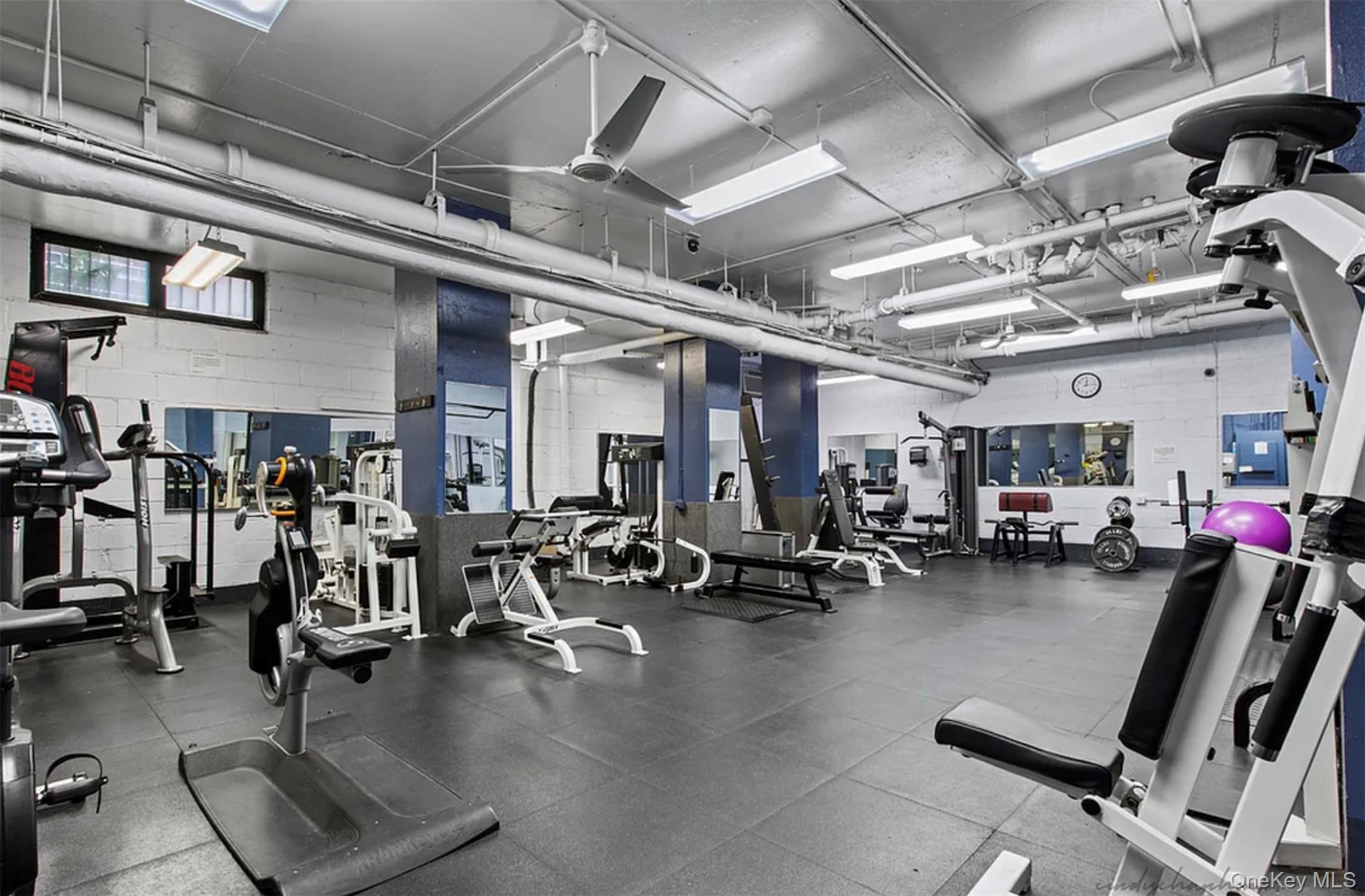 #12 photo, 70-25 yellowstone Boulevard, クイーンズ区 Forest Hills , NY 11375