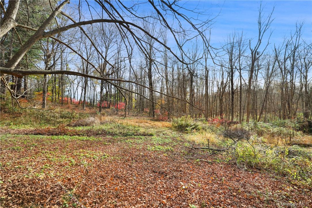 #10 photo, 713 Old Post Road, Bedford , NY 10506