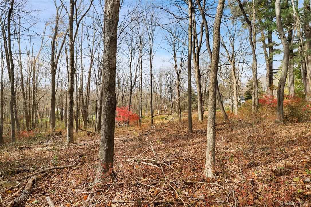 #11 photo, 713 Old Post Road, Bedford , NY 10506