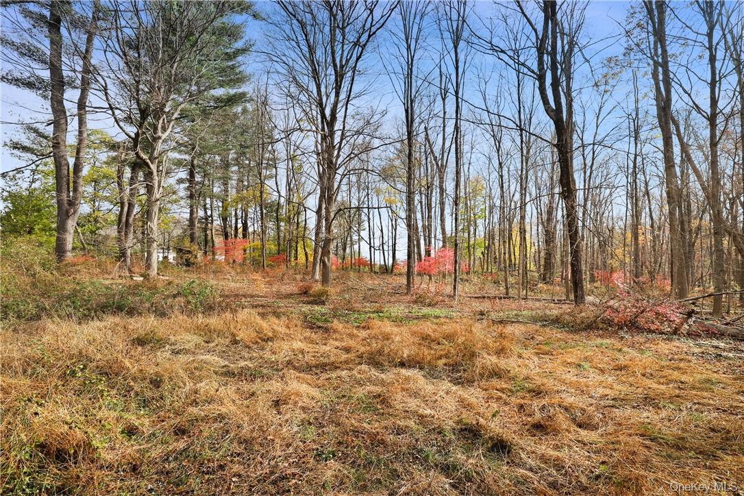 #6 photo, 713 Old Post Road, Bedford , NY 10506