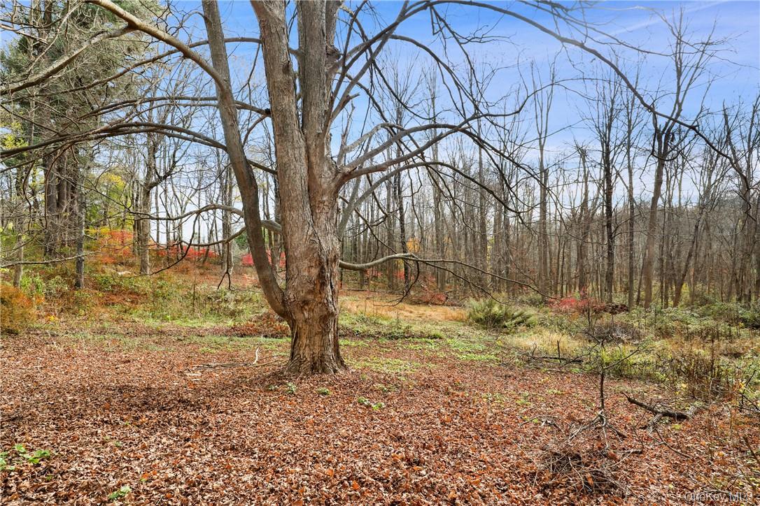 #7 photo, 713 Old Post Road, Bedford , NY 10506