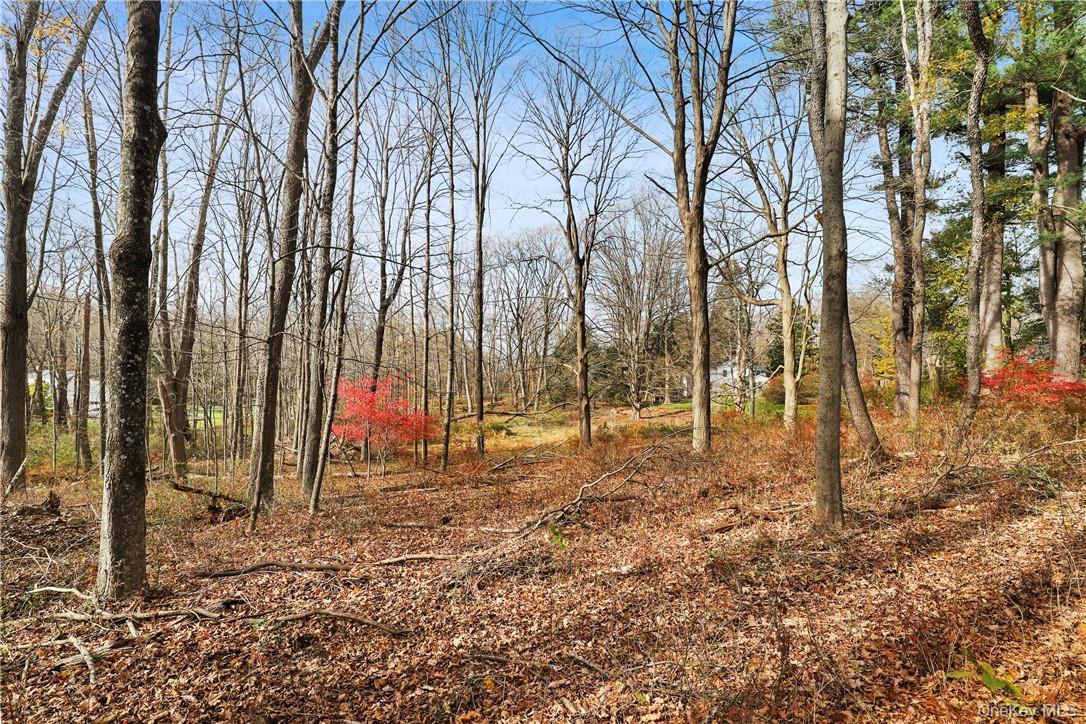 #9 photo, 713 Old Post Road, Bedford , NY 10506