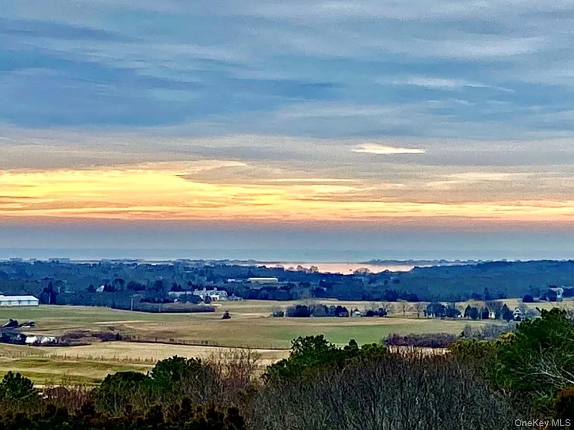 #1 photo, 972 Noyack Path, サフォーク郡 Water Mill , NY 11976