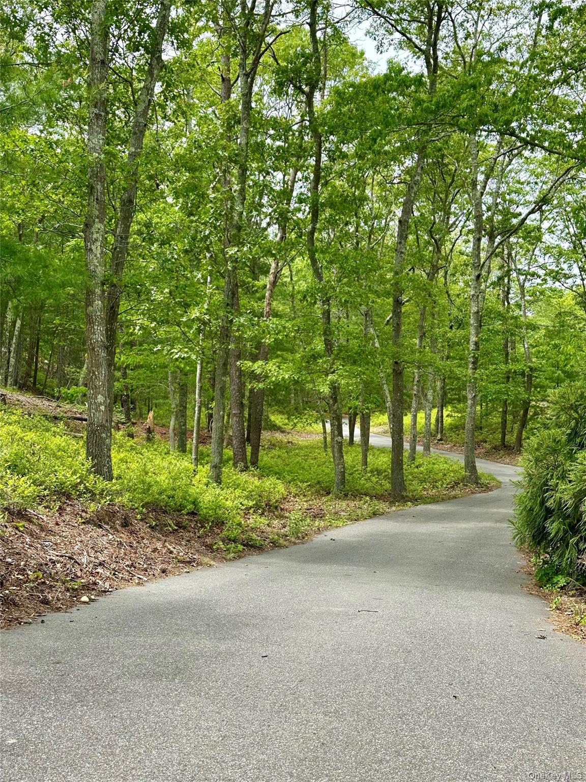 #6 photo, 972 Noyack Path, サフォーク郡 Water Mill , NY 11976