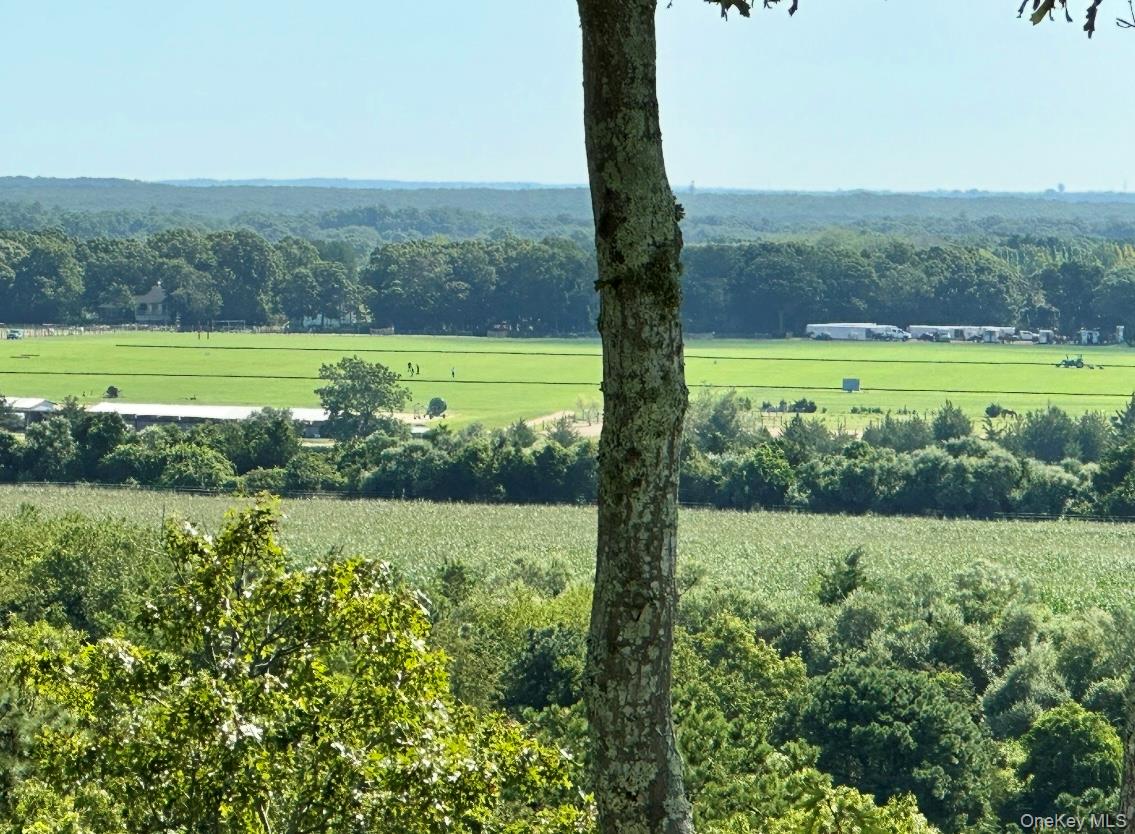 #8 photo, 972 Noyack Path, サフォーク郡 Water Mill , NY 11976