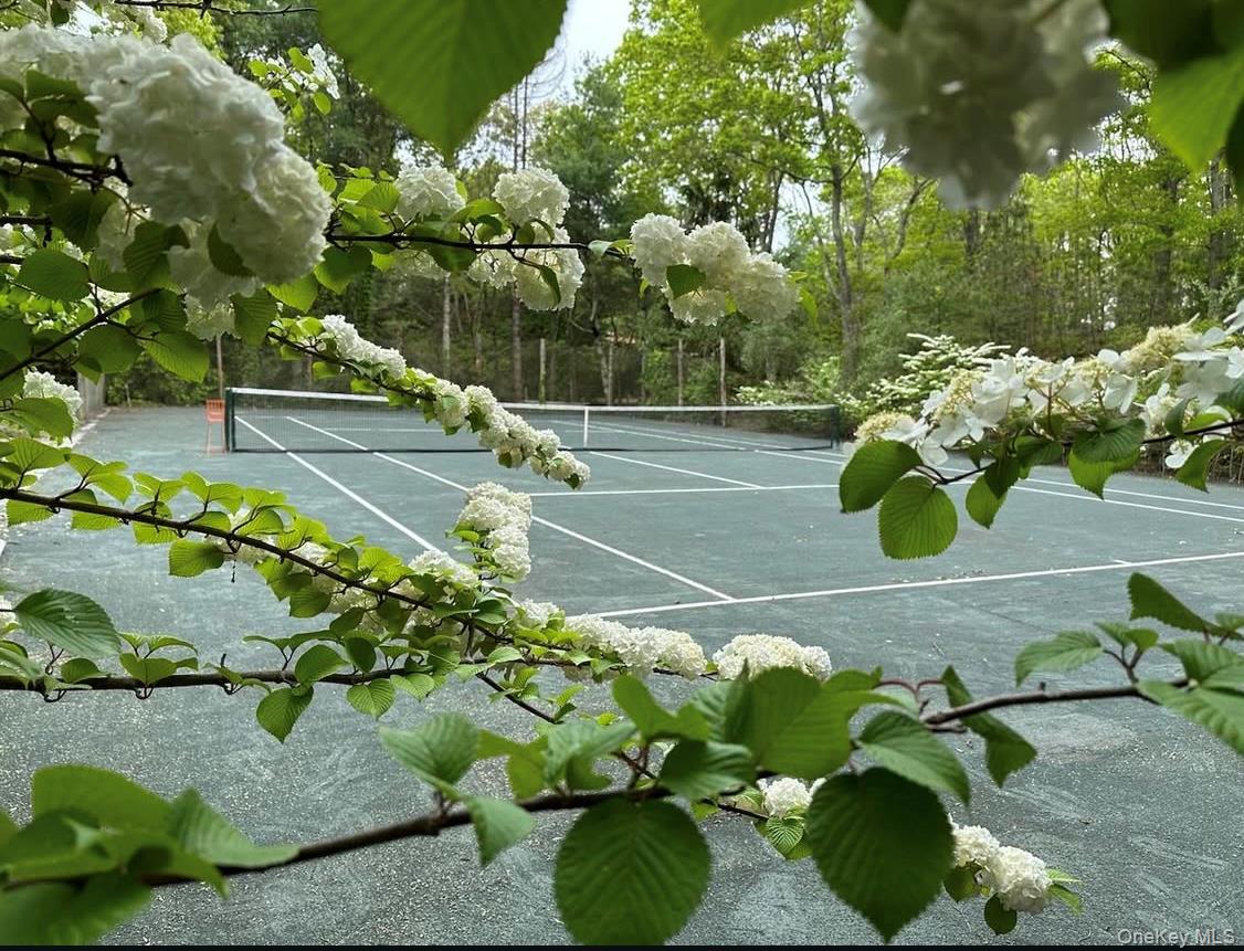 #9 photo, 972 Noyack Path, サフォーク郡 Water Mill , NY 11976