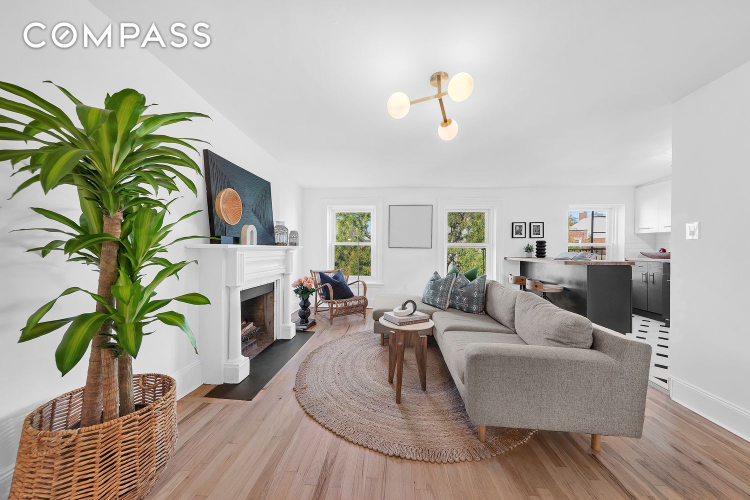 #1 photo, 113 Carroll Street, ブルックリン区 Carroll Gardens , NY 11231