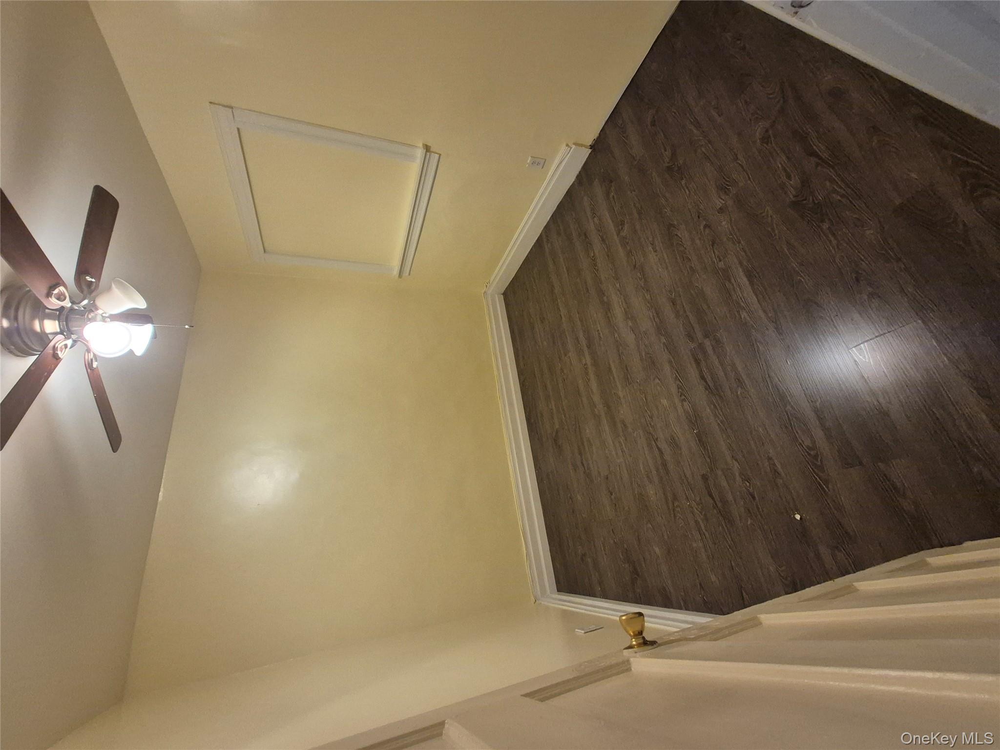 #8 photo, Brooklyn, Brooklyn , NY 11226