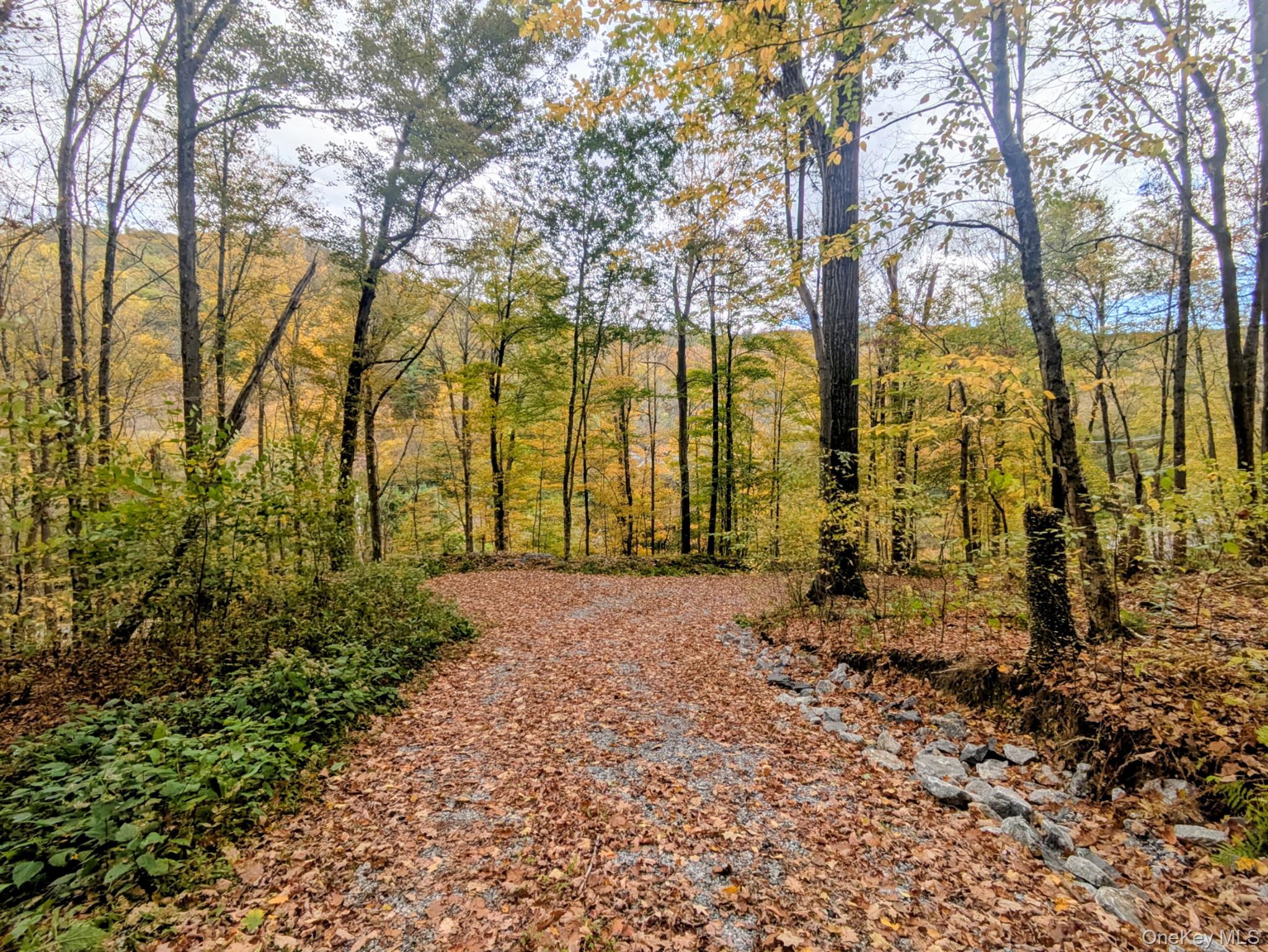 #1 photo, Rt-199, Stanfordville , NY 12581