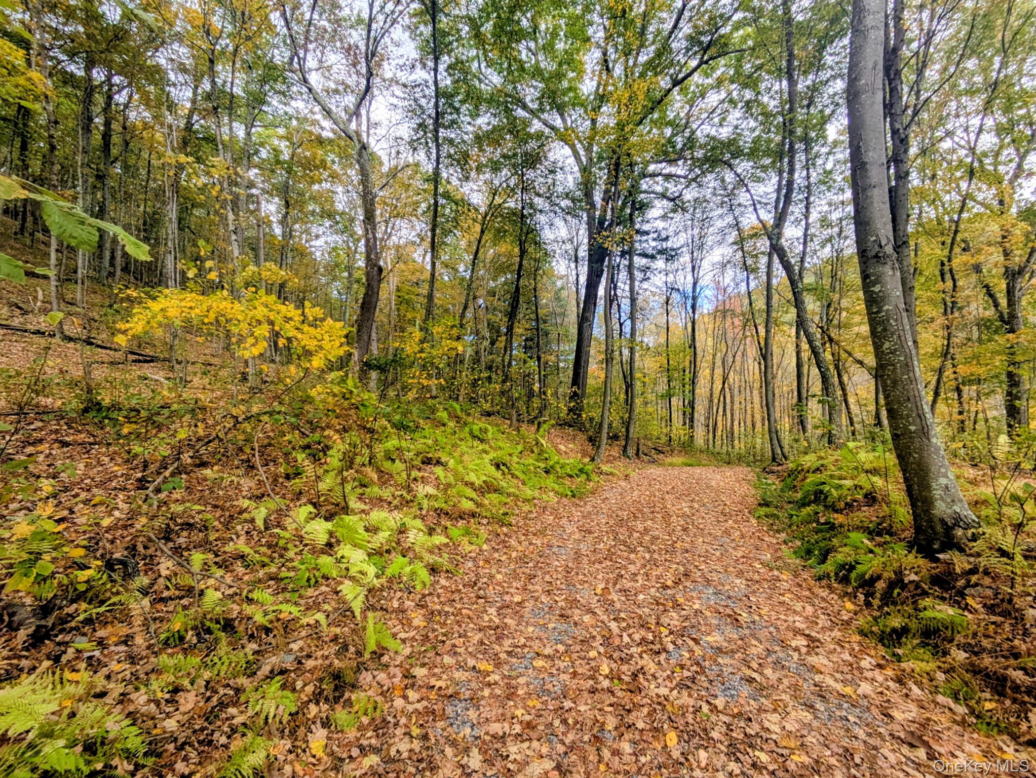 #10 photo, Rt-199, Stanfordville , NY 12581