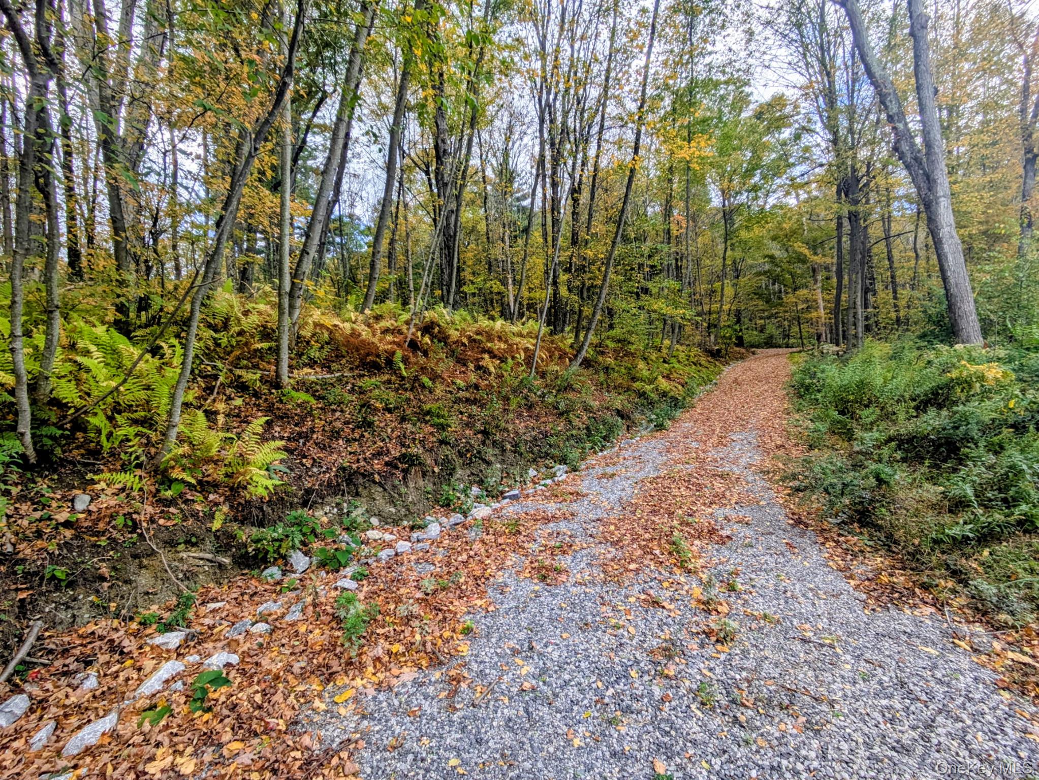 #2 photo, Rt-199, Stanfordville , NY 12581