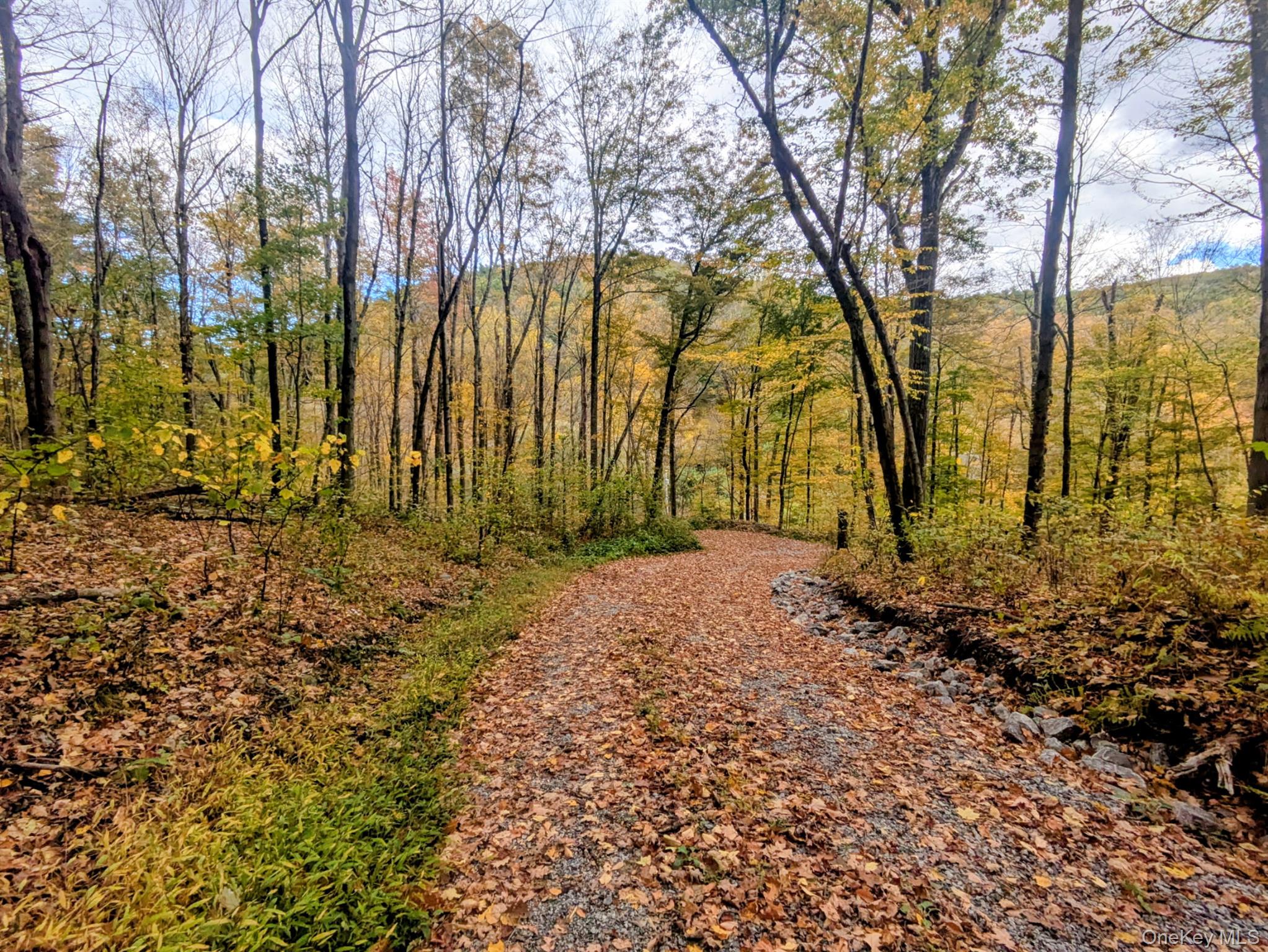 #3 photo, Rt-199, Stanfordville , NY 12581