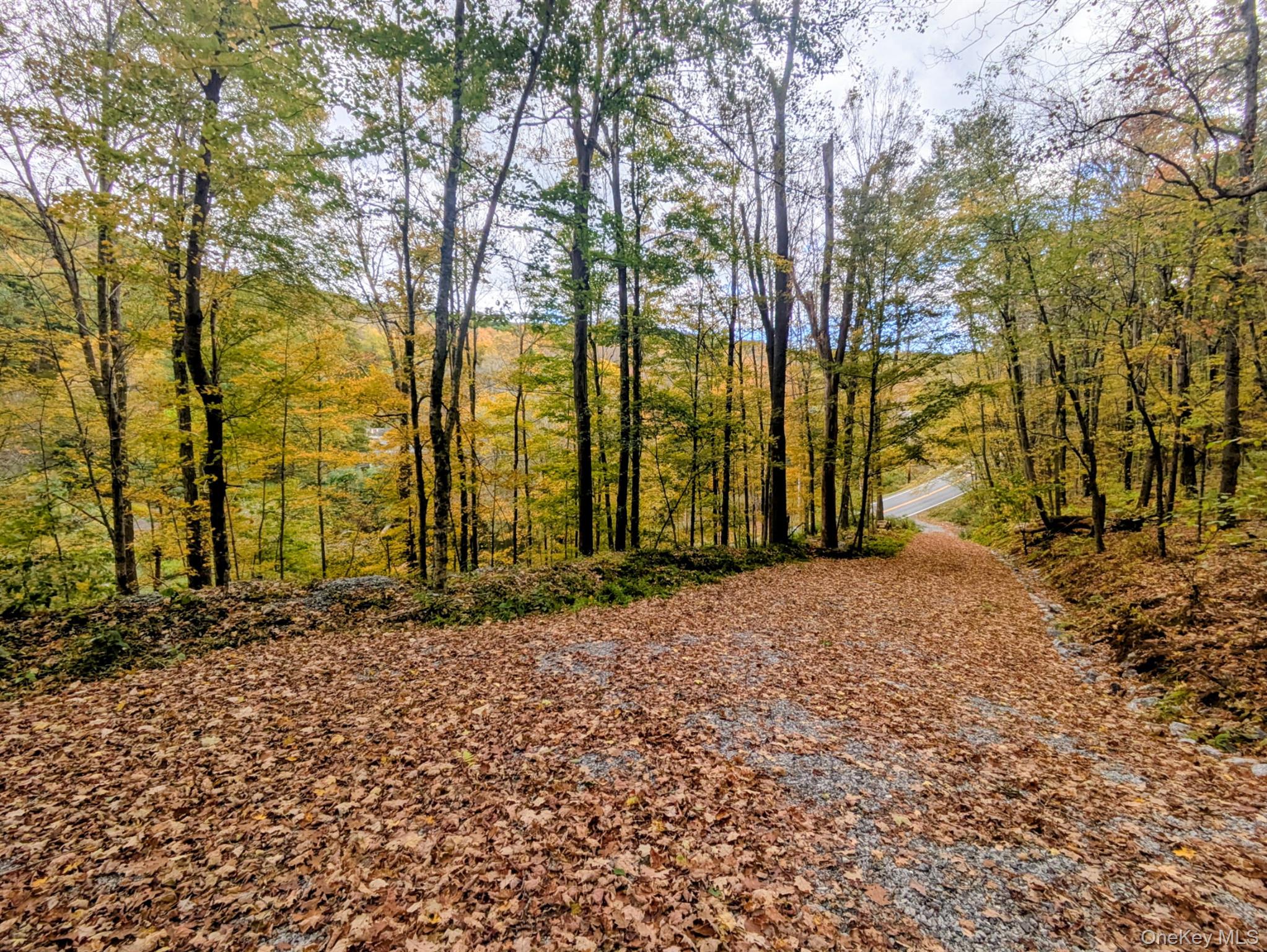 #4 photo, Rt-199, Stanfordville , NY 12581