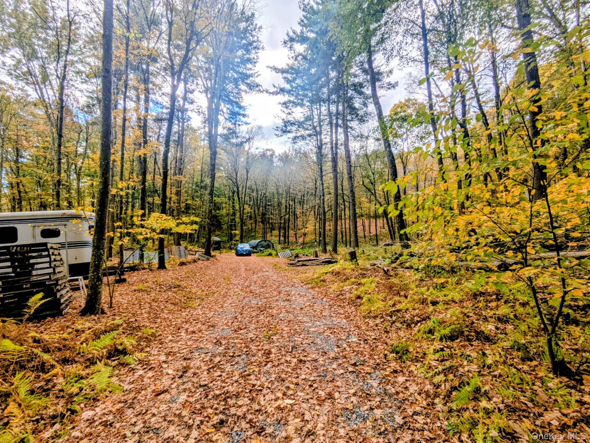 #5 photo, Rt-199, Stanfordville , NY 12581