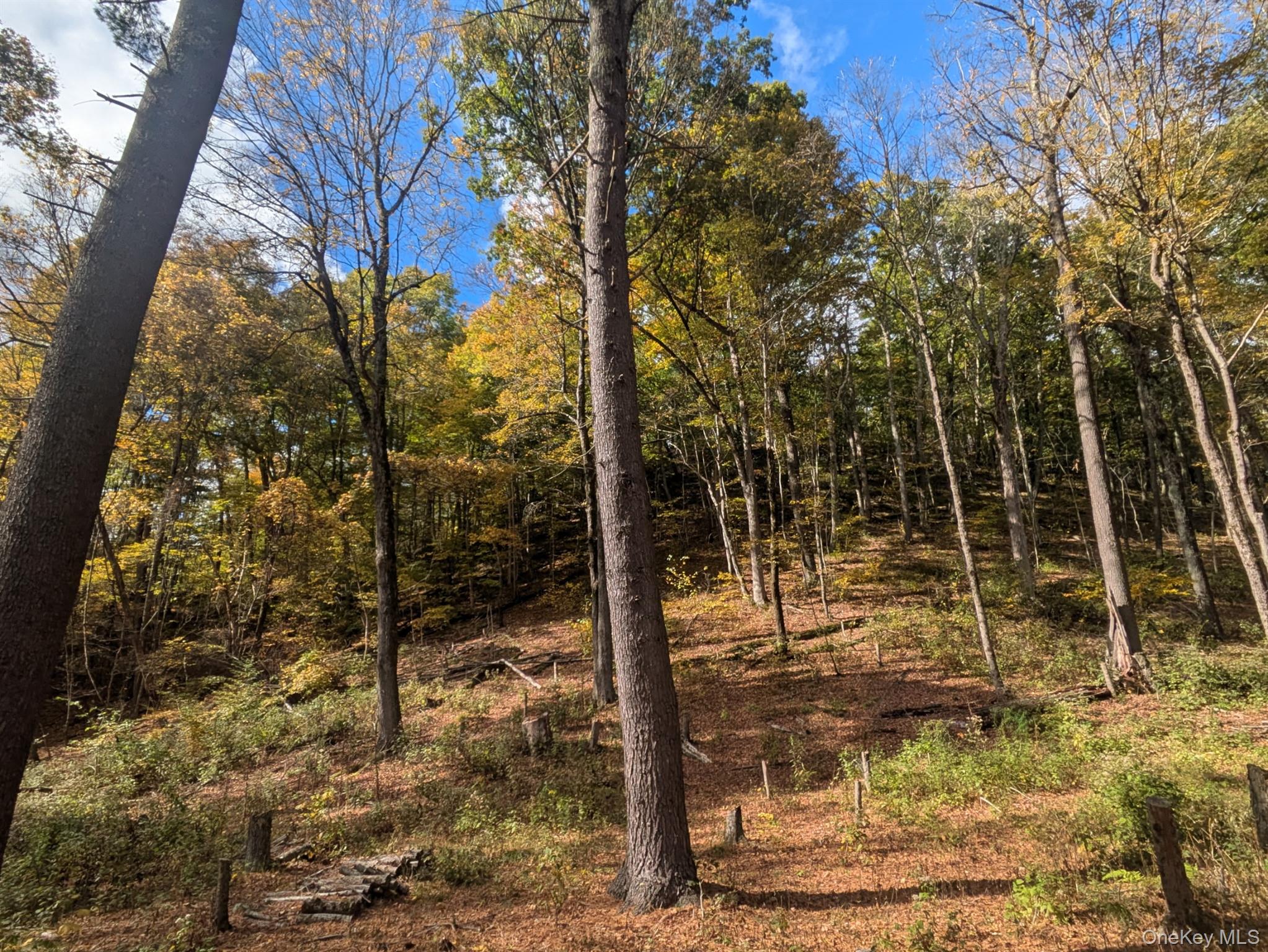 #6 photo, Rt-199, Stanfordville , NY 12581