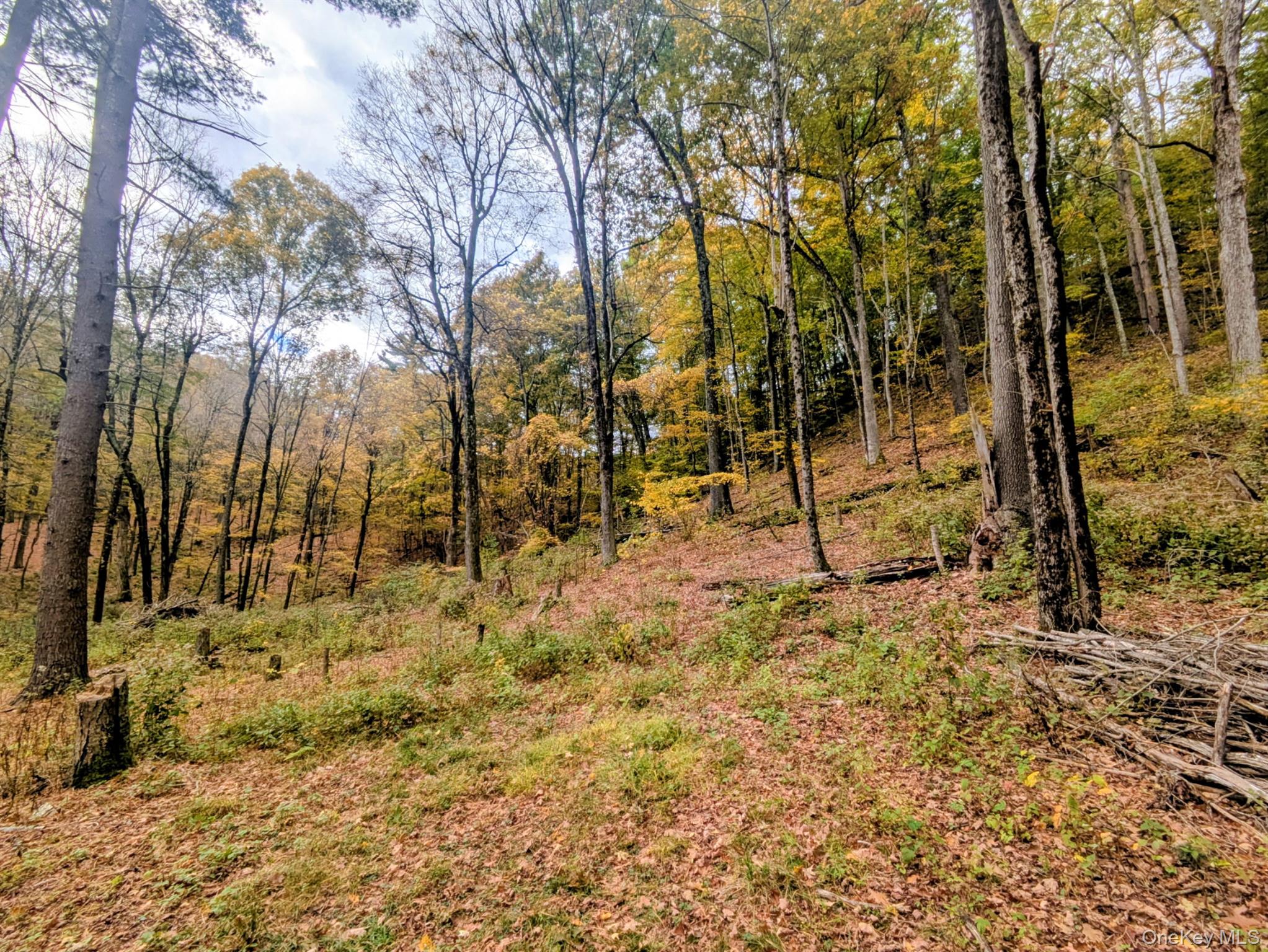 #7 photo, Rt-199, Stanfordville , NY 12581