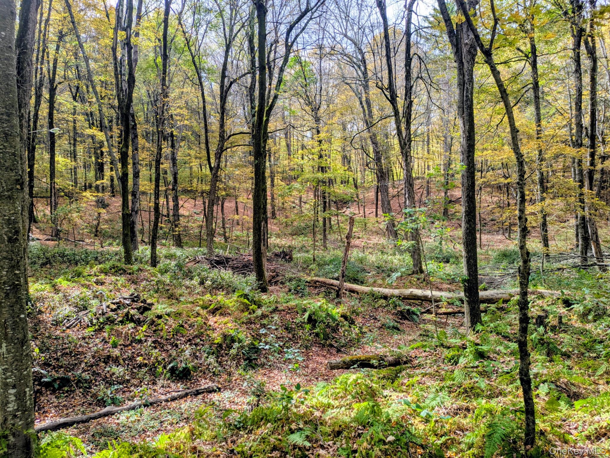 #8 photo, Rt-199, Stanfordville , NY 12581