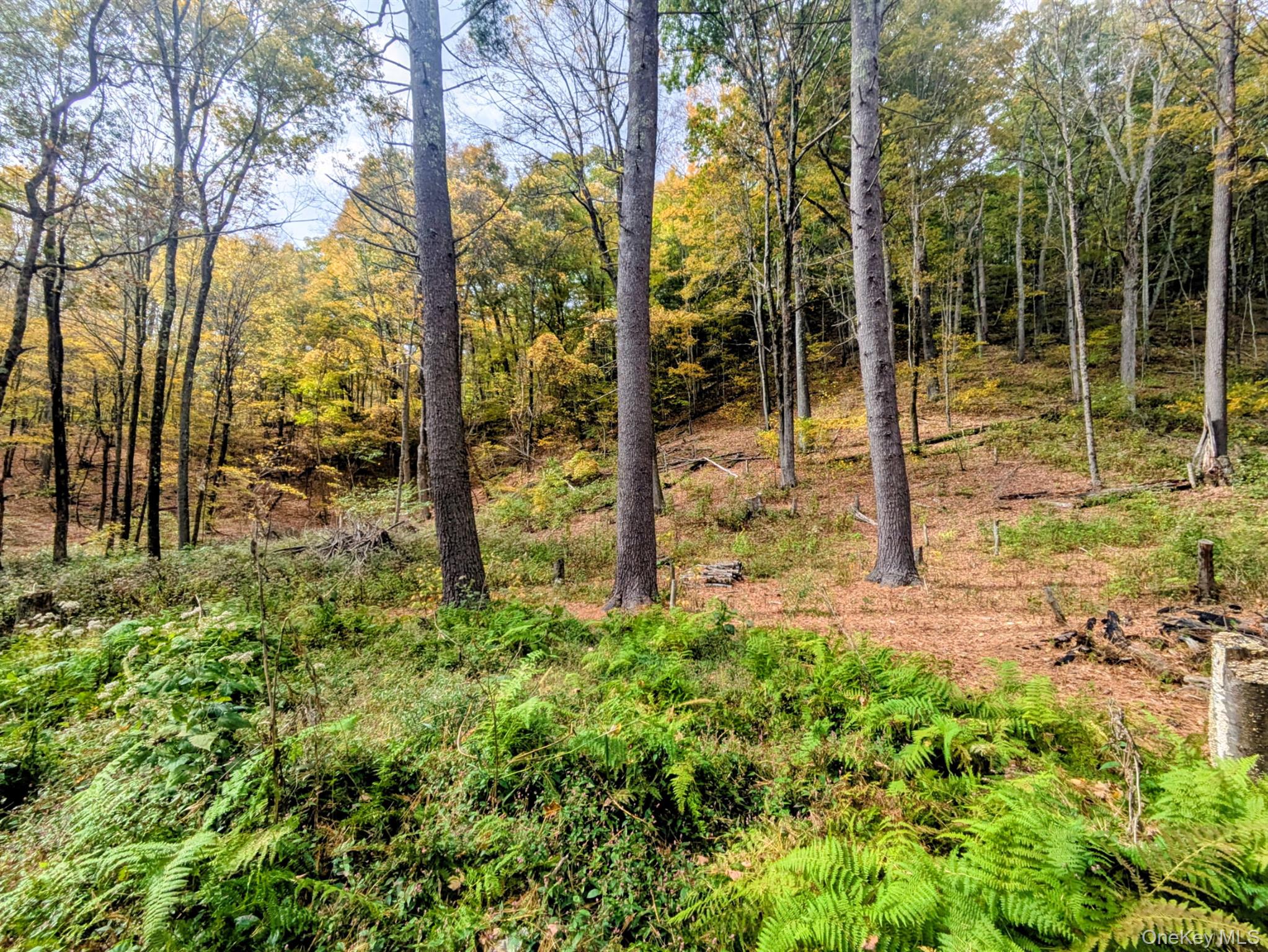 #9 photo, Rt-199, Stanfordville , NY 12581