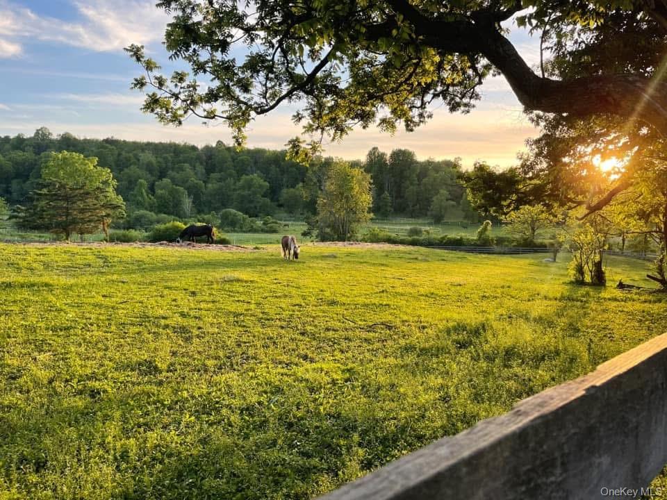 #8 photo, 3 Little York, Pine Island , NY 10990