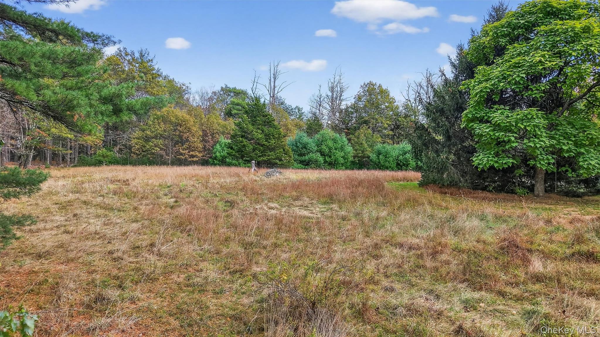 #19 photo, 300 Band Camp Road, Saugerties , NY 12477